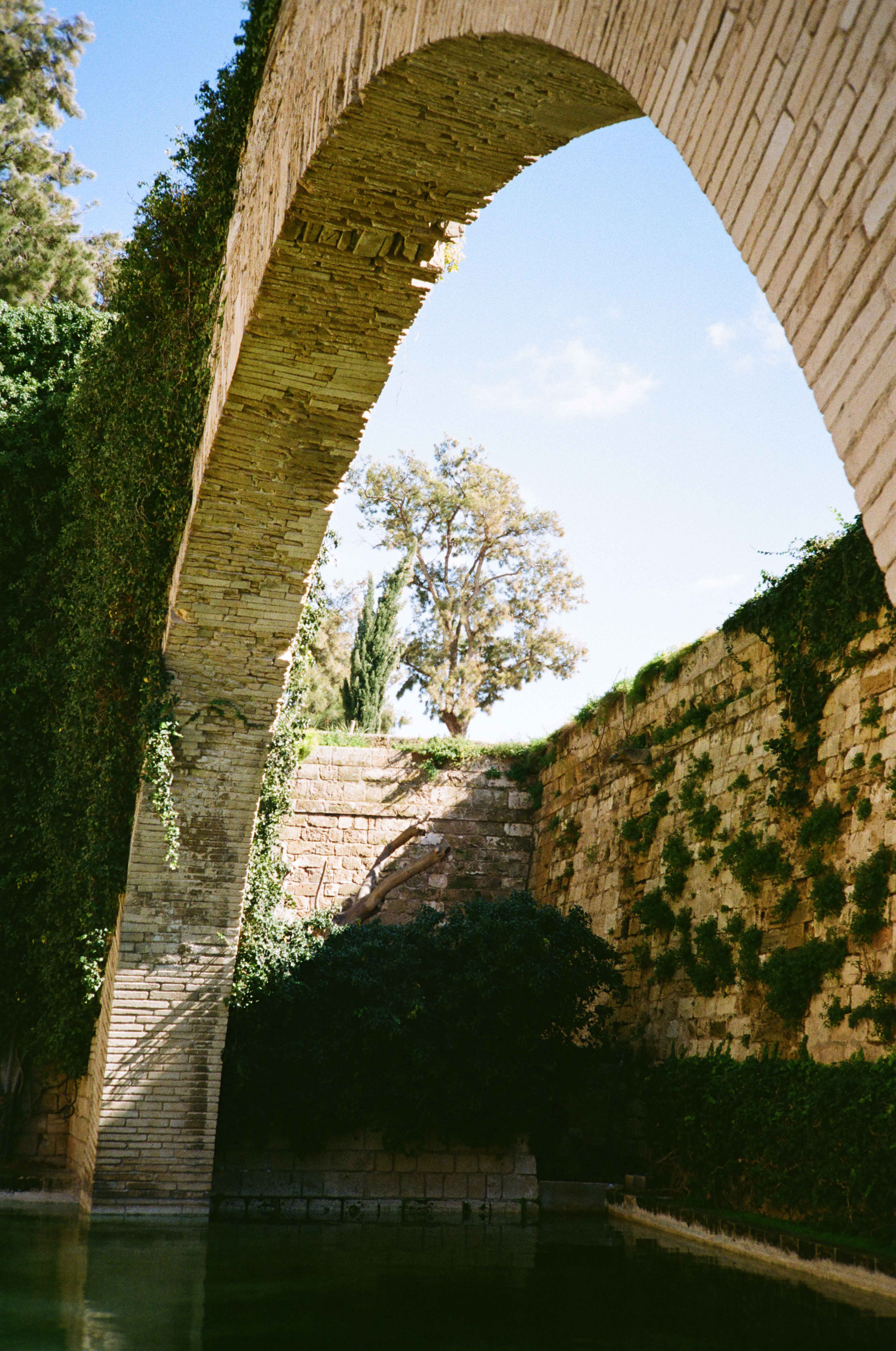 Analoge Stadtaufnahme aus Palma – künstlich angelegter See umgeben von historischen Gebäuden und Mauern